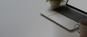 laptop cup plant