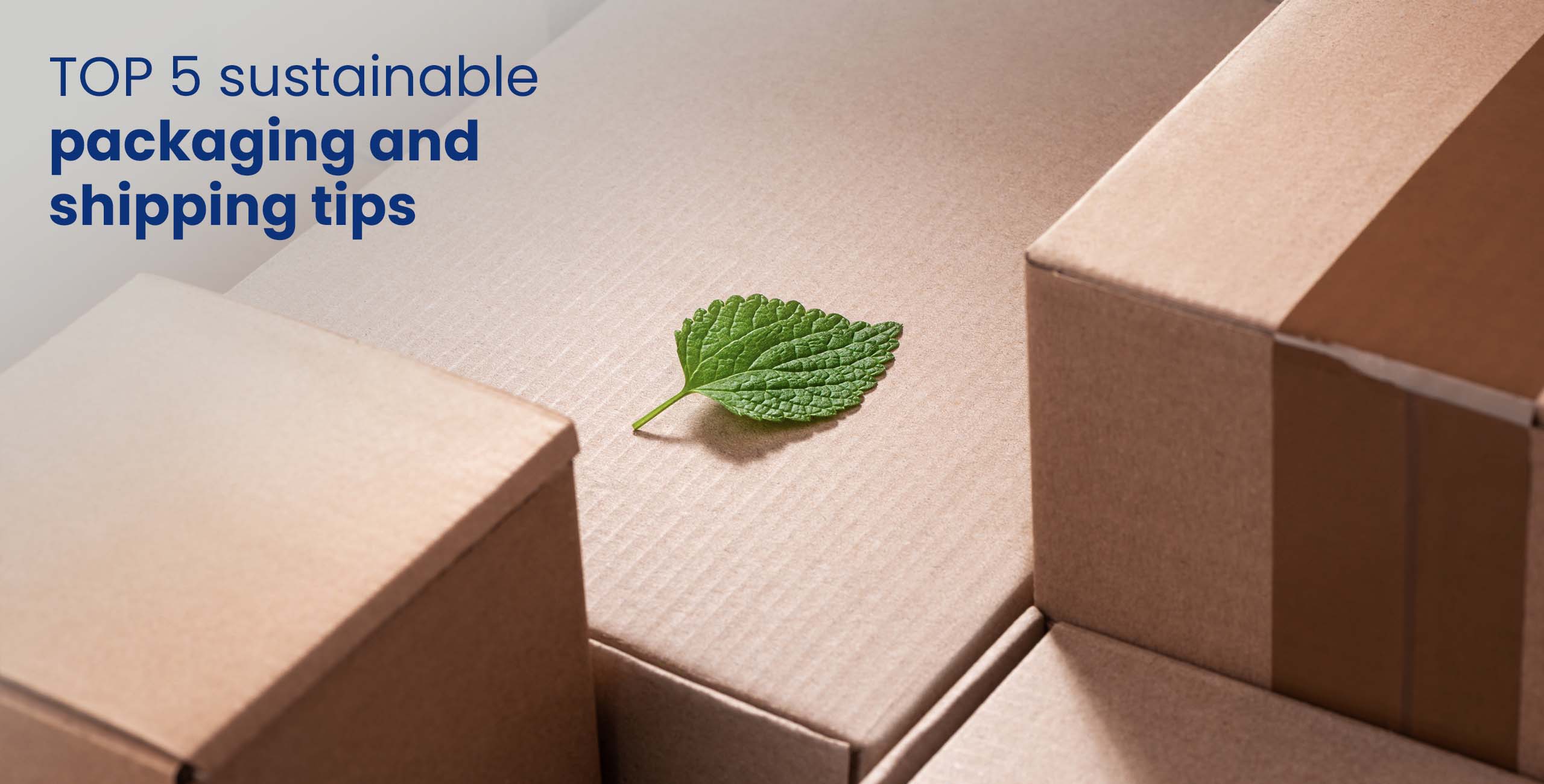 sustainable package with green leaf on a box